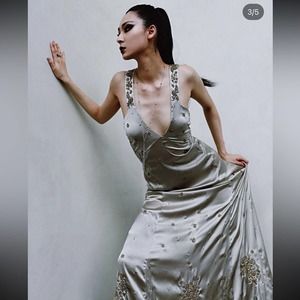 Zara Women’s Satin Dress with Embroidery Limited Edition Size L NWT